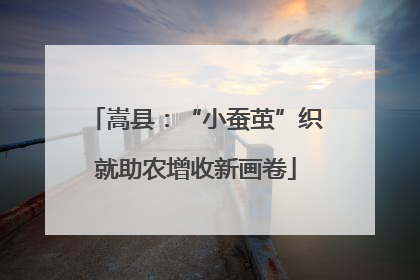 嵩县：“小蚕茧”织就助农增收新画卷