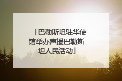 巴勒斯坦驻华使馆举办声援巴勒斯坦人民活动