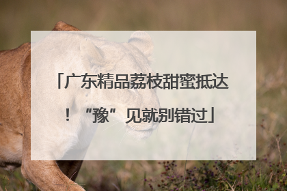 广东精品荔枝甜蜜抵达！“豫”见就别错过