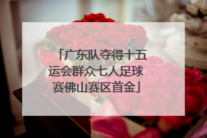 广东队夺得十五运会群众七人足球赛佛山赛区首金