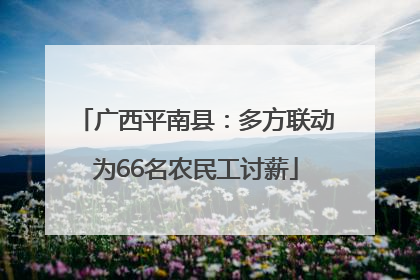 广西平南县：多方联动为66名农民工讨薪