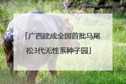 广西建成全国首批马尾松3代无性系种子园