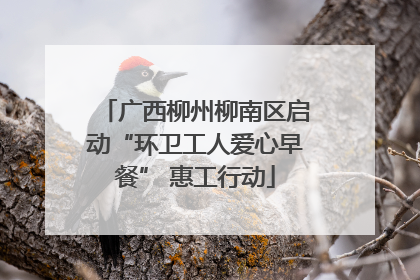 广西柳州柳南区启动“环卫工人爱心早餐” 惠工行动