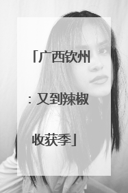 广西钦州：又到辣椒收获季