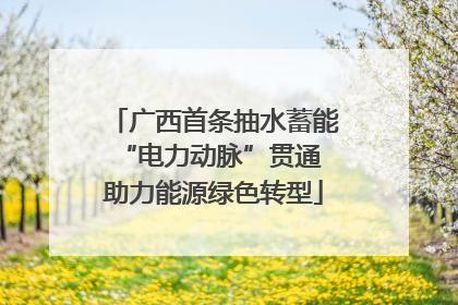 广西首条抽水蓄能“电力动脉”贯通 助力能源绿色转型