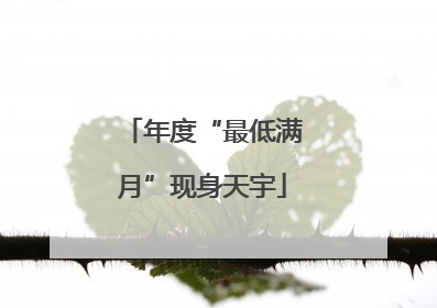 年度“最低满月”现身天宇