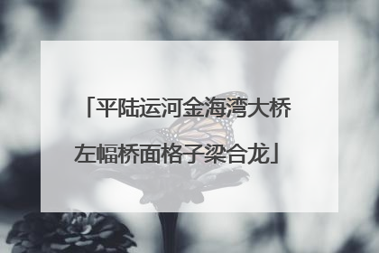 平陆运河金海湾大桥左幅桥面格子梁合龙
