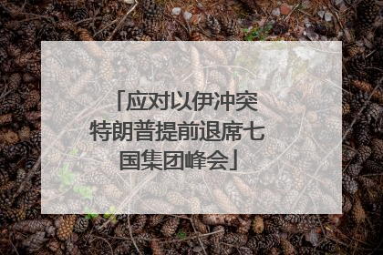应对以伊冲突 特朗普提前退席七国集团峰会