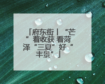 府东街丨“芒”着收获 看菏泽“三夏”好“丰景”