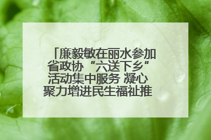 廉毅敏在丽水参加省政协“六送下乡”活动集中服务 凝心聚力增进民生福祉推进共同富裕
