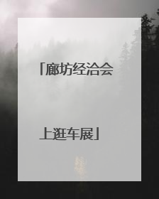 廊坊经洽会上逛车展
