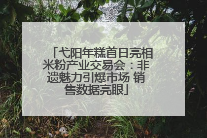 弋阳年糕首日亮相米粉产业交易会：非遗魅力引爆市场 销售数据亮眼