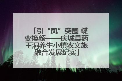 引“凤”突围 蝶变换颜——庆城县药王洞养生小镇农文旅融合发展纪实