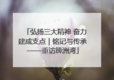 弘扬三大精神 奋力建成支点｜铭记与传承——重访簰洲湾