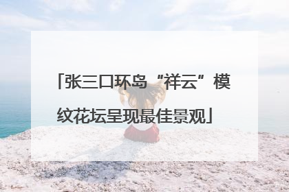 张三口环岛“祥云”模纹花坛呈现最佳景观