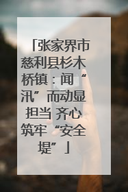 张家界市慈利县杉木桥镇：闻“汛”而动显担当 齐心筑牢“安全堤”