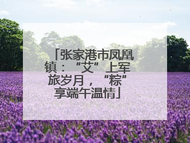 张家港市凤凰镇：“艾”上军旅岁月，“粽”享端午温情