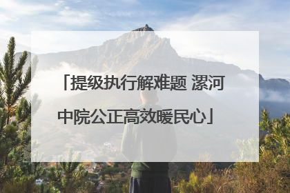 提级执行解难题 漯河中院公正高效暖民心