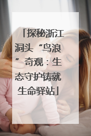 探秘浙江洞头“鸟浪”奇观：生态守护铸就生命驿站