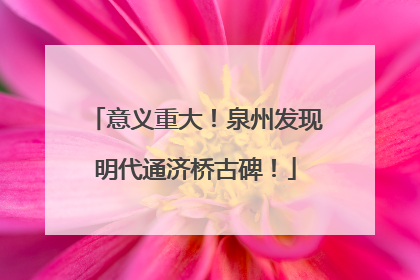 意义重大！泉州发现明代通济桥古碑！