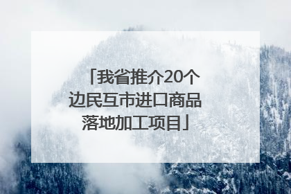 我省推介20个边民互市进口商品落地加工项目