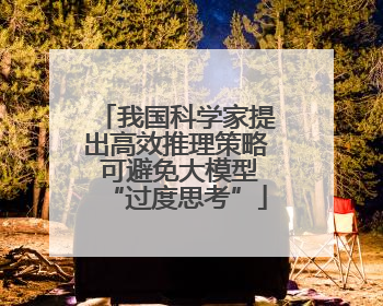 我国科学家提出高效推理策略 可避免大模型“过度思考”