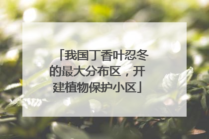 我国丁香叶忍冬的最大分布区，开建植物保护小区