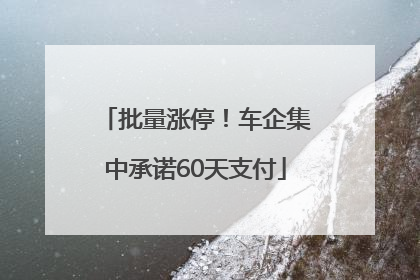 批量涨停！车企集中承诺60天支付