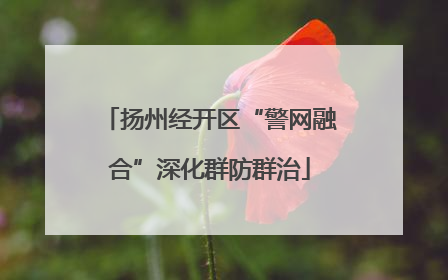 扬州经开区“警网融合”深化群防群治