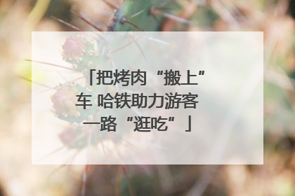 把烤肉“搬上”车 哈铁助力游客一路“逛吃”