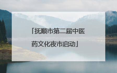 抚顺市第二届中医药文化夜市启动