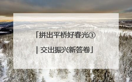 拼出平桥好春光③｜交出振兴新答卷