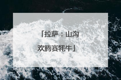 拉萨：山沟欢腾赛牦牛