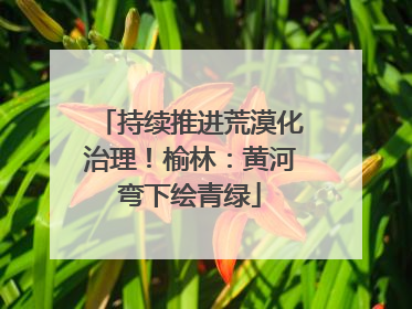 持续推进荒漠化治理！榆林：黄河弯下绘青绿