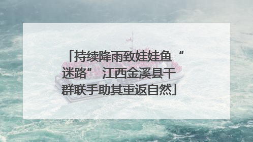 持续降雨致娃娃鱼“迷路” 江西金溪县干群联手助其重返自然