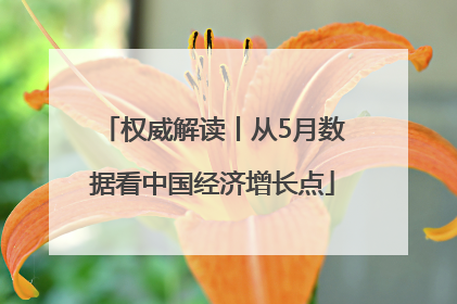 权威解读丨从5月数据看中国经济增长点