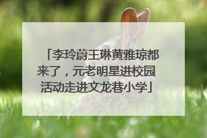 李玲蔚王琳黄雅琼都来了，元老明星进校园活动走进文龙巷小学
