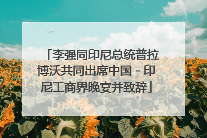 李强同印尼总统普拉博沃共同出席中国－印尼工商界晚宴并致辞