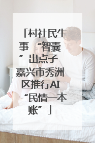 村社民生事 “智囊”出点子 嘉兴市秀洲区推行AI“民情一本账”
