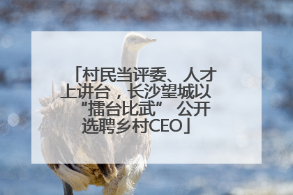 村民当评委、人才上讲台，长沙望城以“擂台比武” 公开选聘乡村CEO