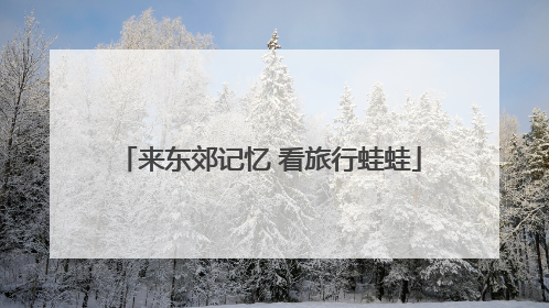 来东郊记忆 看旅行蛙蛙