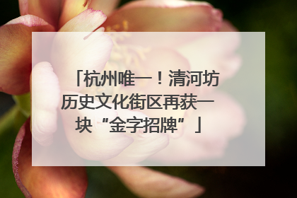 杭州唯一！清河坊历史文化街区再获一块“金字招牌”