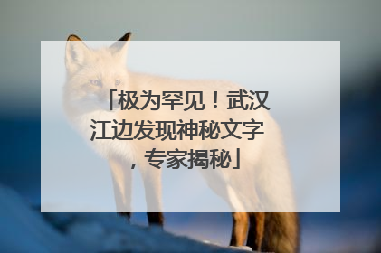 极为罕见！武汉江边发现神秘文字，专家揭秘