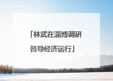 林武在淄博调研督导经济运行