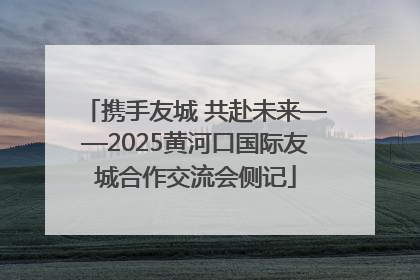携手友城 共赴未来——2025黄河口国际友城合作交流会侧记