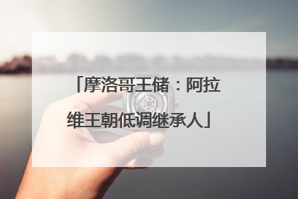 摩洛哥王储：阿拉维王朝低调继承人