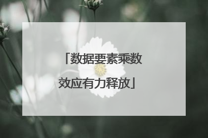 数据要素乘数效应有力释放