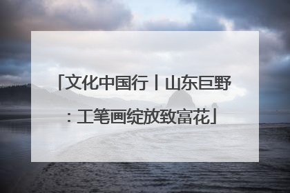 文化中国行丨山东巨野：工笔画绽放致富花