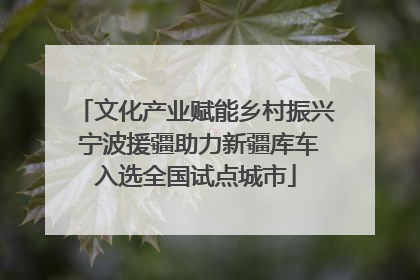 文化产业赋能乡村振兴 宁波援疆助力新疆库车入选全国试点城市
