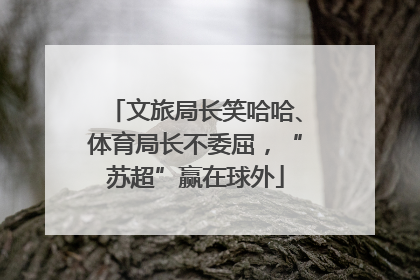 文旅局长笑哈哈、体育局长不委屈，“苏超”赢在球外